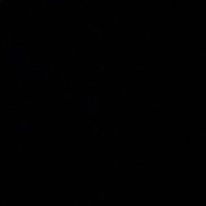 Meet your Posher, Erick